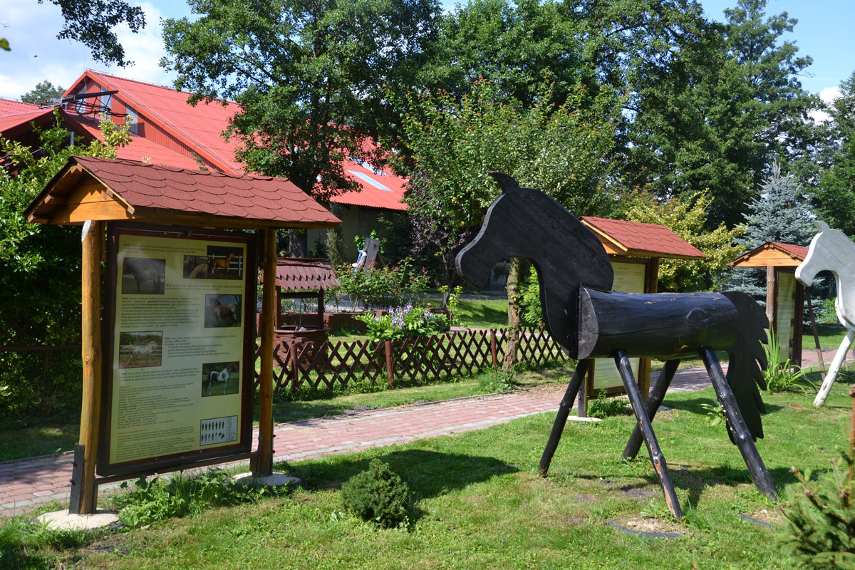 Ogród w Rancho pod Olszyną