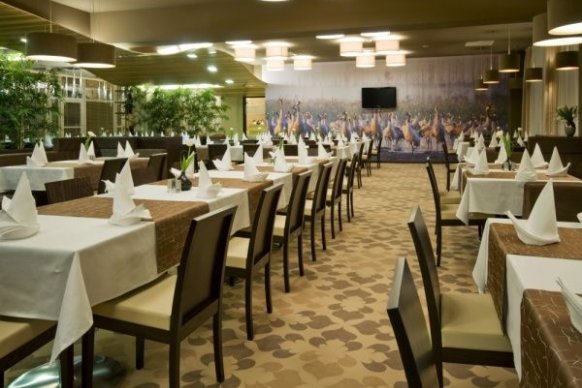 Hotel Platinum SPA & Business - sale weselne Ostróda 