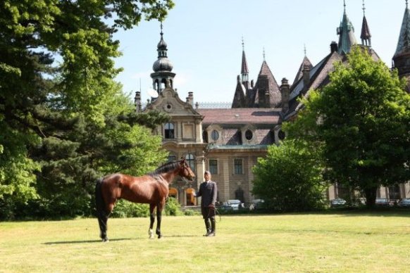 Stadnina Koni Moszna - sale weselne Moszna 