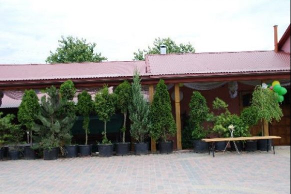 Dom Weselny - sale weselne Bogucin 