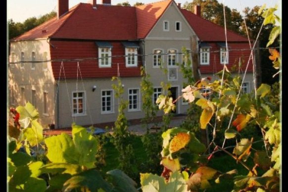 Olandia - sale weselne Prusim 