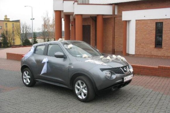 Biały Łabędź - sale weselne Kamień Duży 