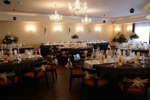 Hotel Borowiecki *** - sale weselne Łódź 