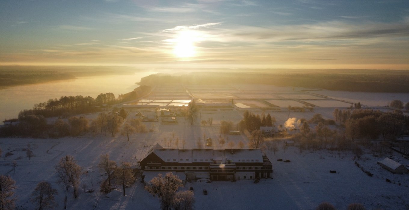 Natural Hotel - zdjęcie 1 