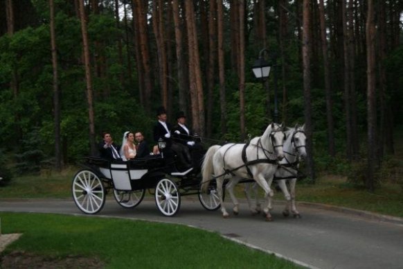 Businessman Institute - sale weselne Warszawa 