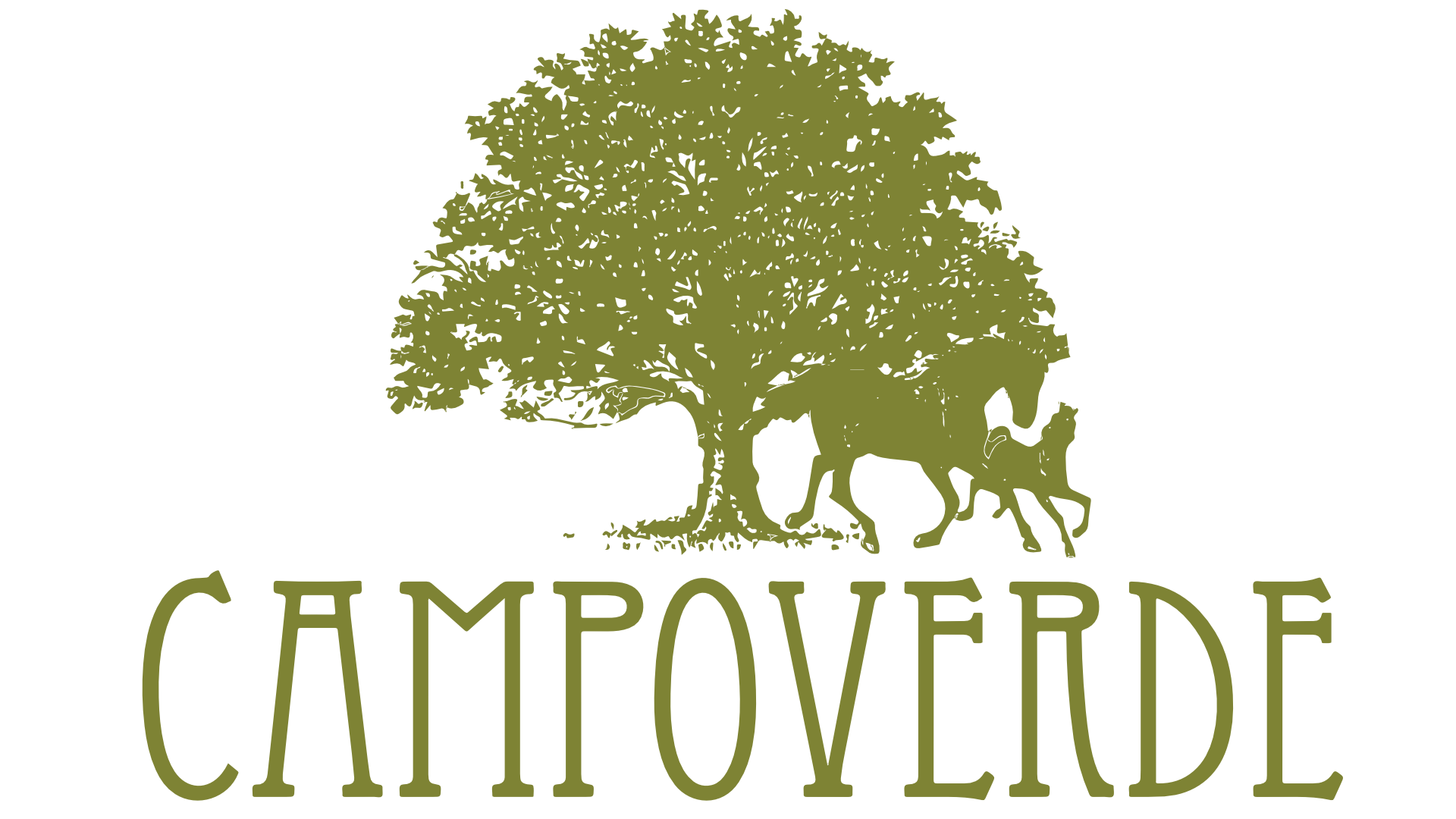 Campoverde logo